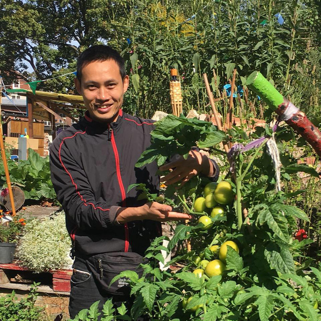 Chuyên gia trong lĩnh vực nhà vườn tại Hà Nội chia sẻ cách trồng rau đúng cách, đảm bảo nhà phố thoải mái rau sạch cho cả gia đình - Ảnh 5.