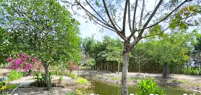 Minh Hằng khoe nhà vườn rộng 20.000 m2 khiến ai cũng trầm trồ - Ảnh 8.