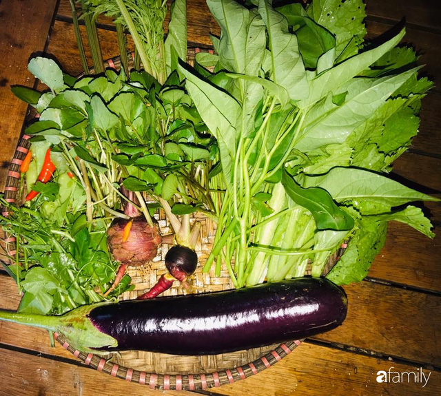 Vườn rau quả tốt tươi đủ loại giúp cả nhà quanh năm được thưởng thức đồ sạch ở Lâm Đồng - Ảnh 35.