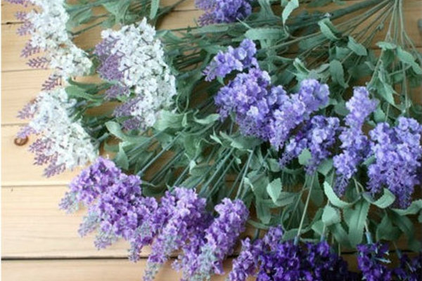 Hoa lavender 30x15cm