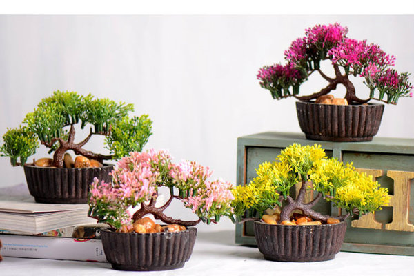 Chậu cây bonsai - CHẬU, CÂY HOA ĐỂ BÀN