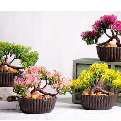Chậu cây bonsai - CHẬU, CÂY HOA ĐỂ BÀN