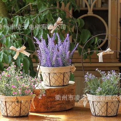 Giỏ hoa lavender treo - CHẬU, CÂY HOA ĐỂ BÀN