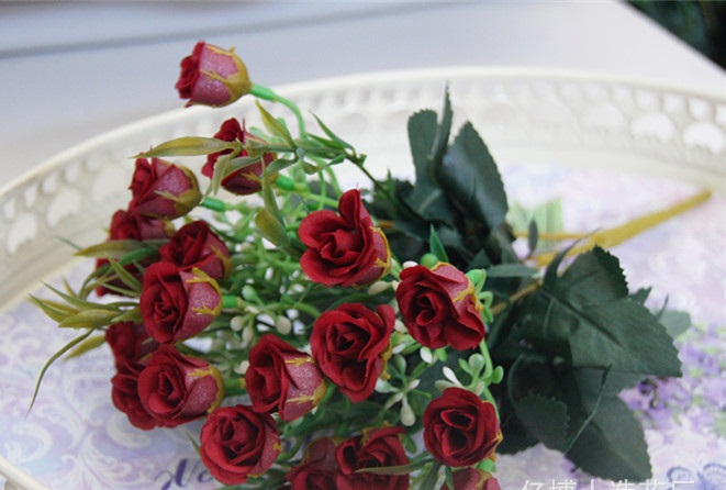  Hoa hồng hàn quốc (1 bụi)