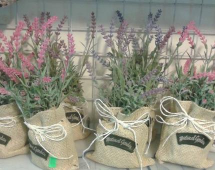 Túi hoa lavender - CHẬU, CÂY HOA ĐỂ BÀN