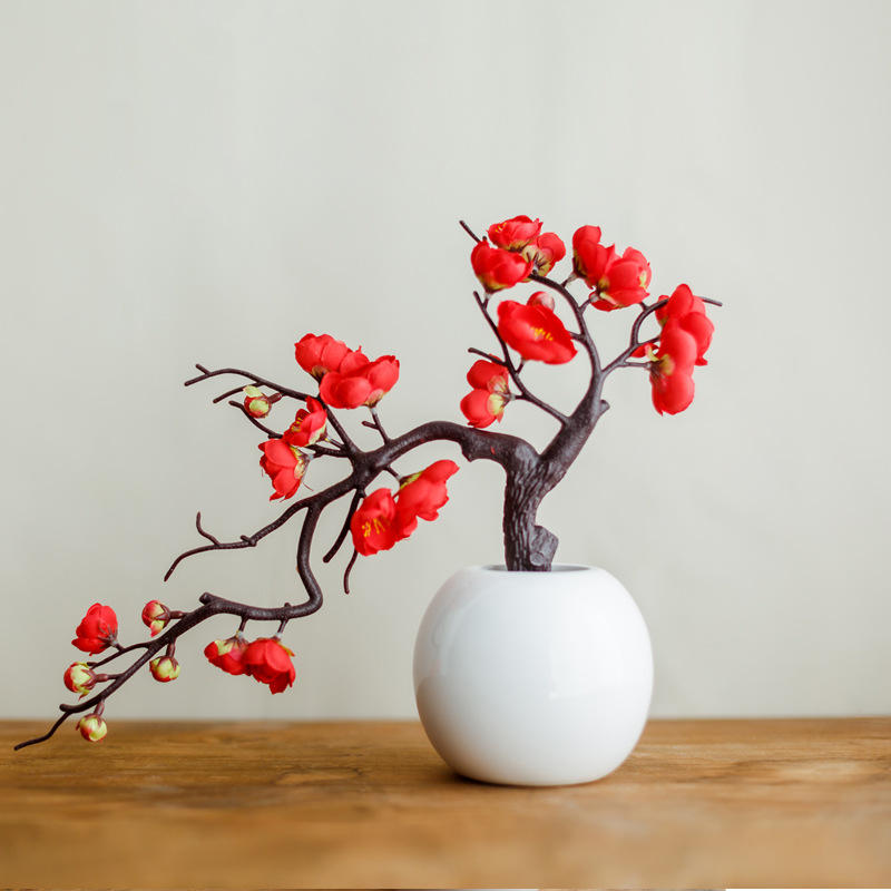 Chậu hoa mận dáng bonsai - CHẬU, CÂY HOA ĐỂ BÀN